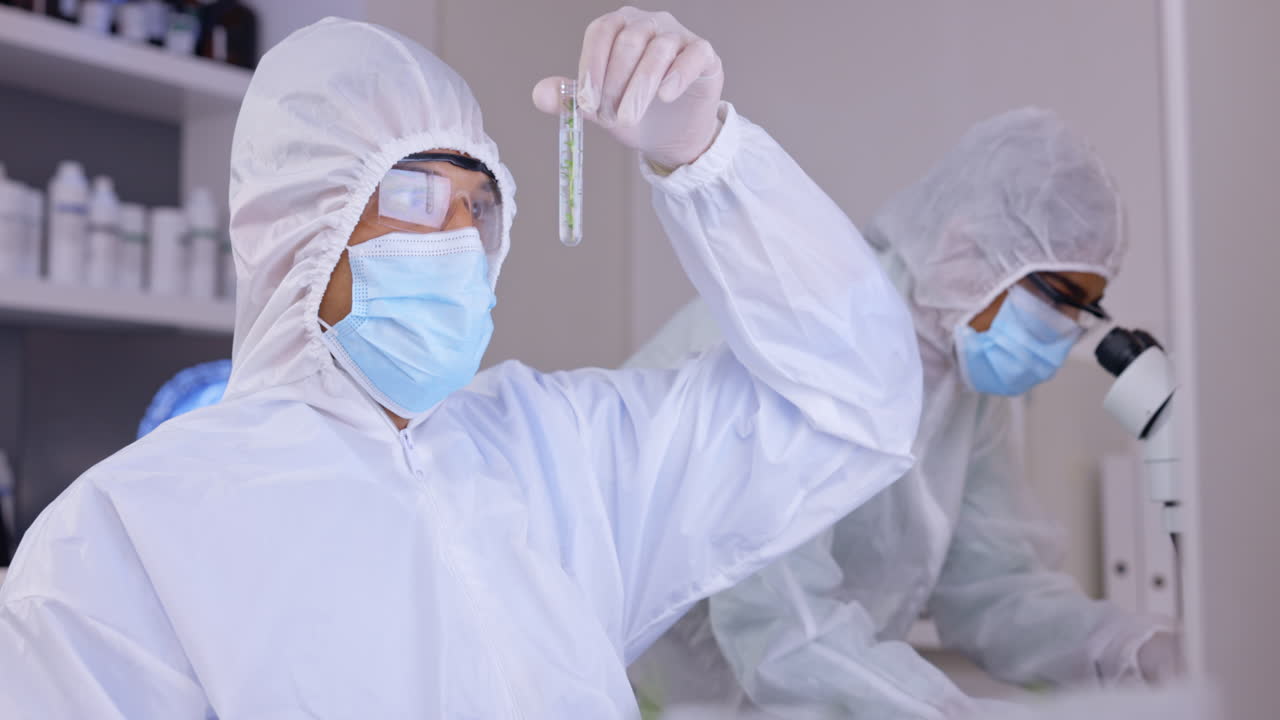 코로나바이러스, 시험관과 식물과 남자 과학자