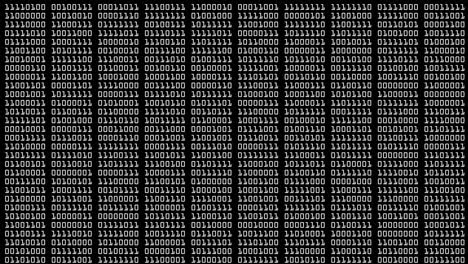 abstract background or foreground with binary code