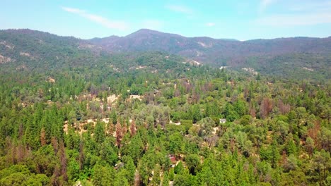 aerial flyover vast mountain forest during the summer. 4k