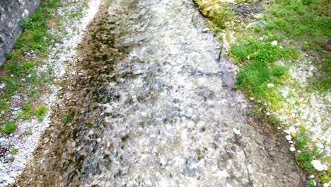 a small river among trees in the hot springs in pozar aridea greece