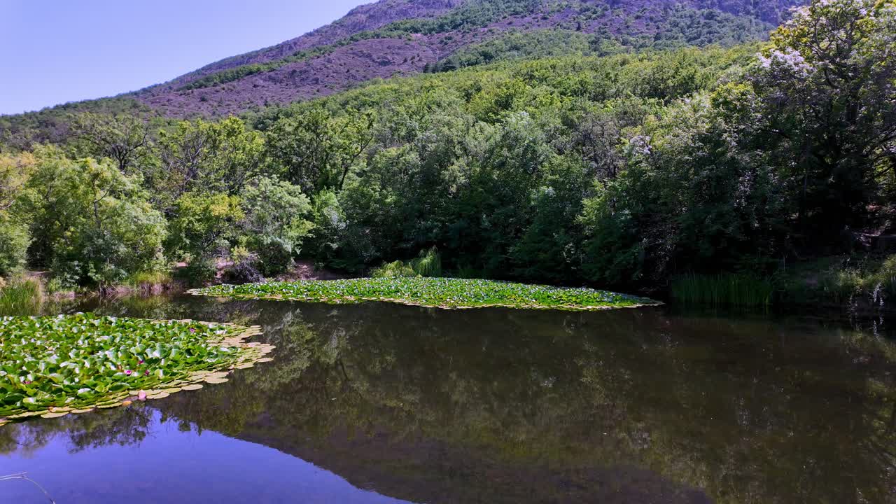 un lago sereno enclavado en las montañas de crimea, rodeado de exuberante vegetación y reflejando el cielo azul claro