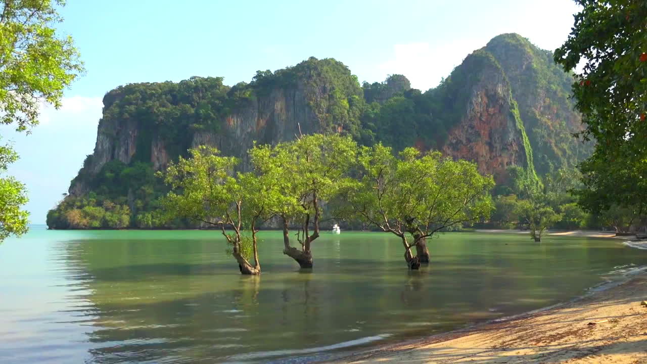 Spiaggia tropicale con acqua turchese, scogliere e alberi sommersi.