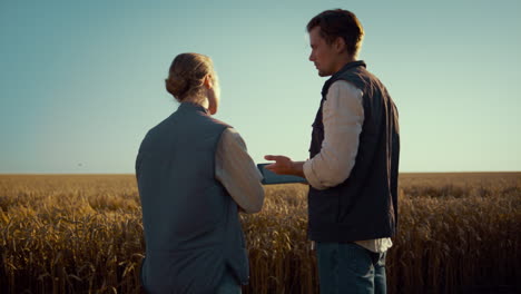 equipo de agrónomos trabajando juntos en un campo de trigo. manos masculinas sosteniendo una tableta de cerca