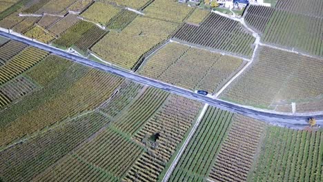 Vista-Aérea-Superior-De-Una-Carretera-En-Los-Viñedos-De-Lavaux-Durante-El-Otoño,-Vaud,-Suiza