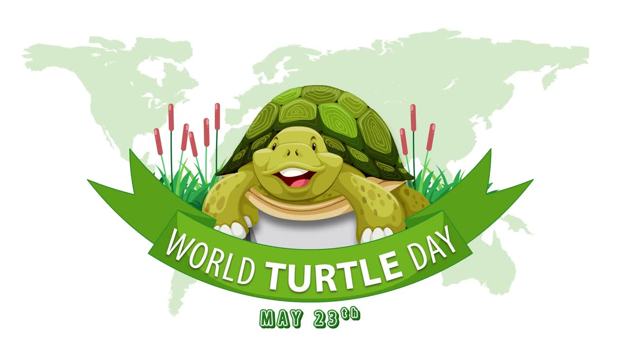 세계 거북이 날을 기념하기 위해 등장하는 애니메이션 거북이