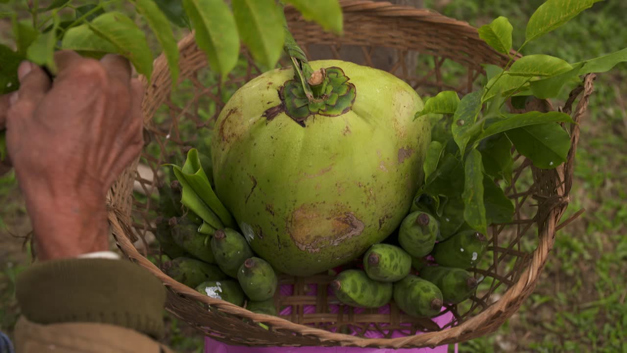 anciano sacrificar y recoger hojas de coco y plátanos en una canasta de madera para ofrendas