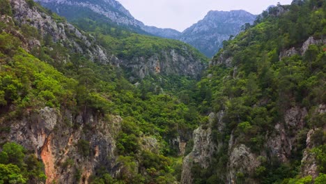 aerial view of wooded canyon at wild area of datça peninsula, muğla, turkey