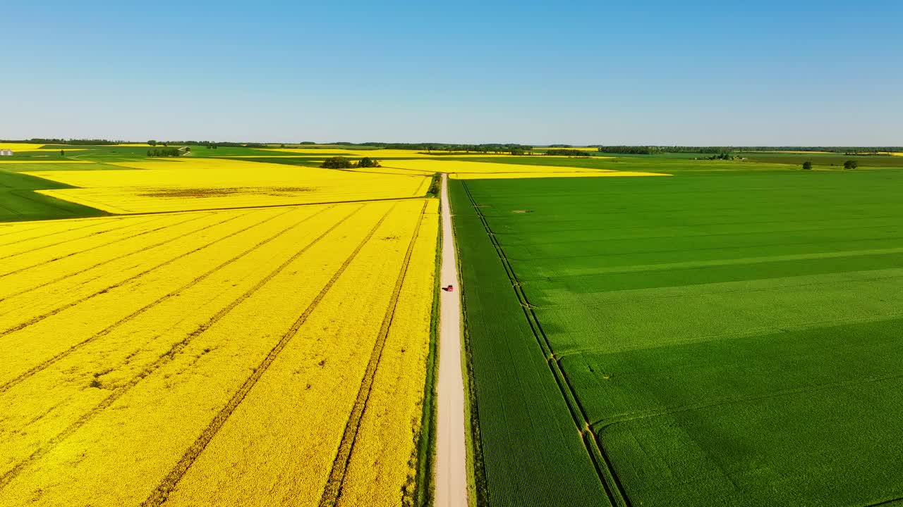 Drone flies above rural road with red car between rapeseed and green grass field