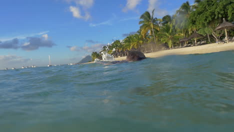 Boy-swimming-and-diving-in-the-sea