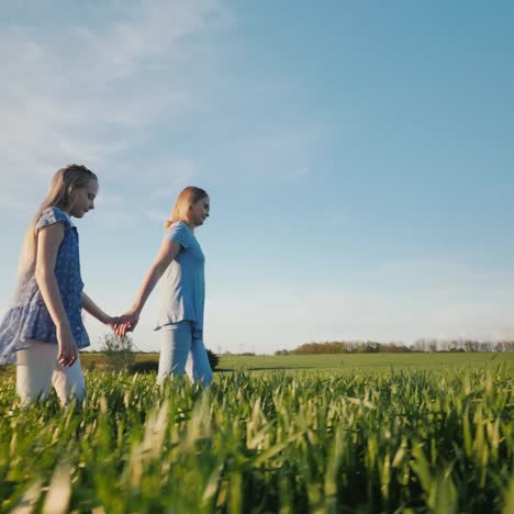 side view of mom and daughter walking through a picturesque meadow at sunset holding hands