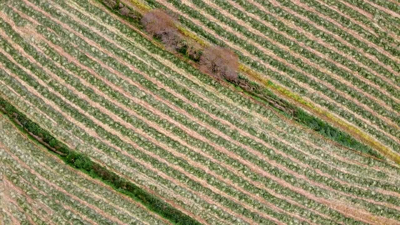 toma aérea de arriba hacia abajo de un campo rastrillado