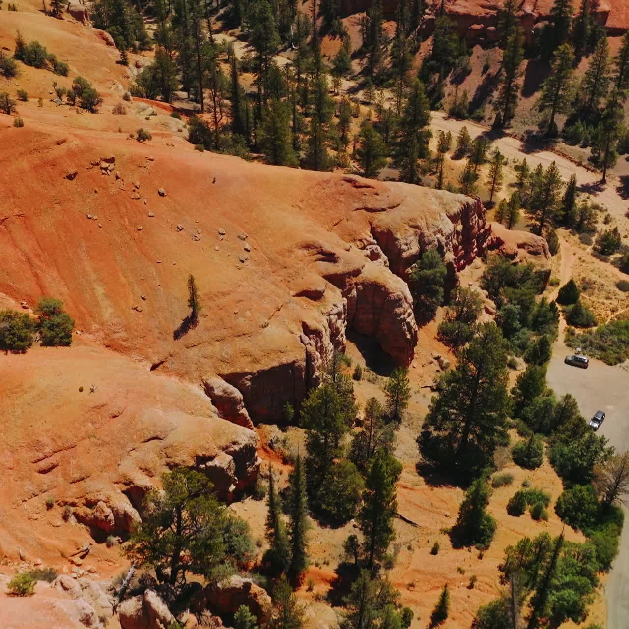 Sorvolo delle rocce arrotondate, lisce e arancioni degli Arches Canyon nello Utah, USA. Strade e sentieri tra le montagne ricoperte di pini. Vista dall'alto