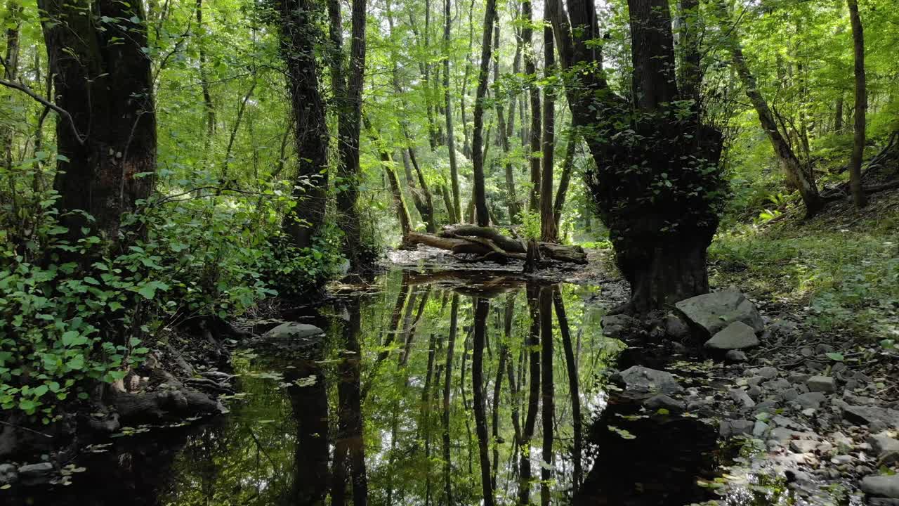 imágenes de drones muy bajas de un pequeño río en el bosque, movimiento lento río abajo, horario de verano, tzarevo, bulgaria-6