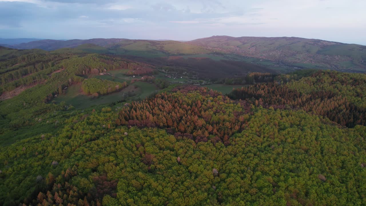 hermosa vista aérea de drones del paisaje forestal en eslovaquia, bosque de tatra