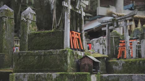 摩斯覆蓋的神社在京都日本, 掃描架重點揭示