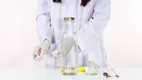 el científico prepara un experimento de reacción química brillante
