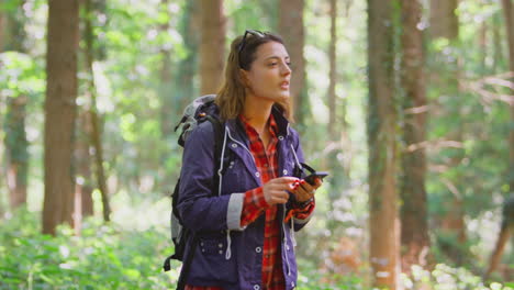 woman with mobile phone on holiday hiking through woods using gps app to navigate