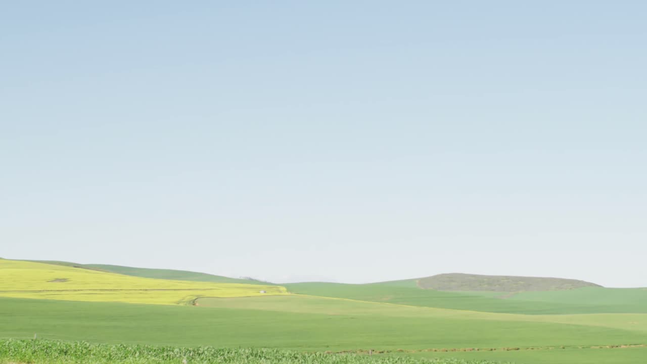 조경 위에 파란 리본과 희망 텍스트의 애니메이션