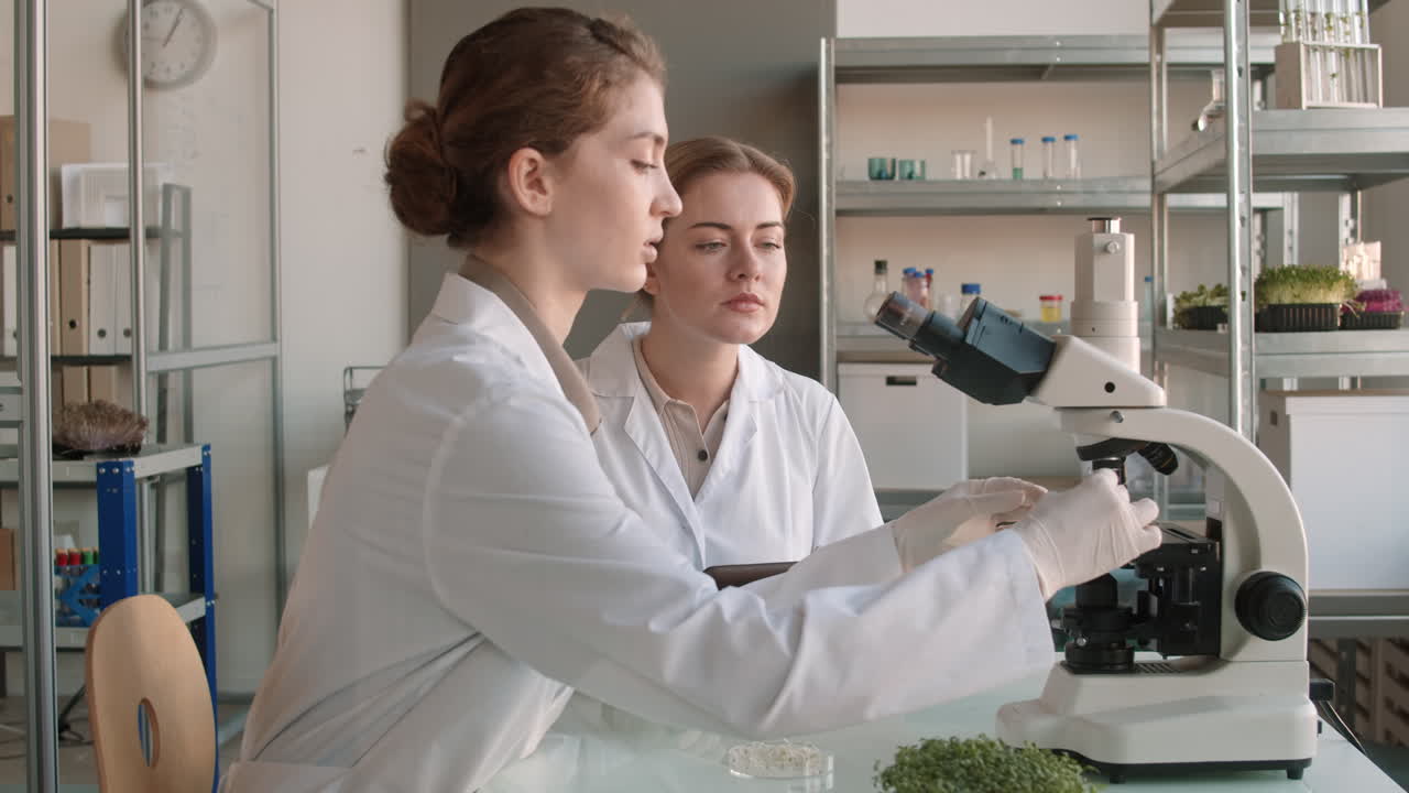 ученые исследуют образец под микроскопом