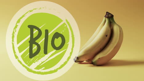 animation of bio text on green circle over bananas on yellow background