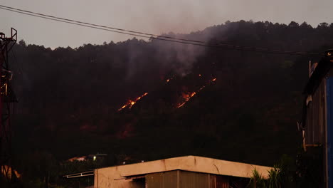 wildfires on a hillside in phuoc binh province, vietnam