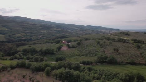 aerial drone shot fast pan left over olive groves and farmland in umbria, italy