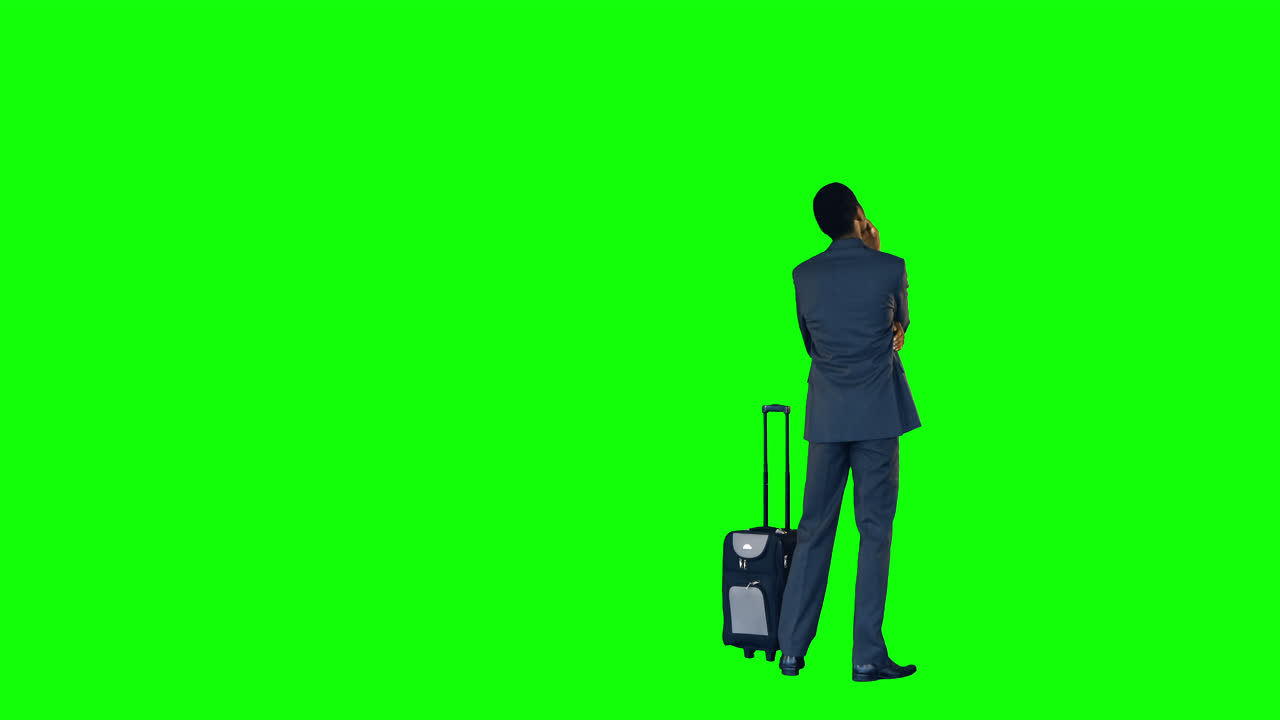 Businessman standing with luggage