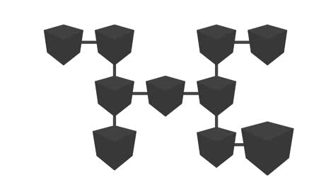 estructura de la red