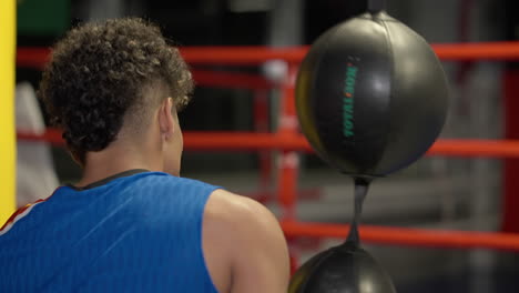 young boxer training session