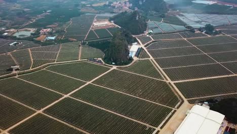 Toma-En-órbita-De-Los-Campos-Agrícolas-De-La-Granja-De-Frutas-Del-Dragón,-Condado-De-Long&#39;an,-Guangxi,-China