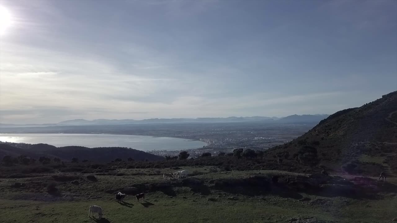 "Roses Costa Brava: Coastal Splendor Unveiled