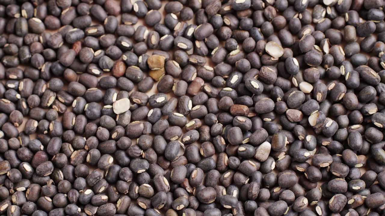 Close Up View of Raw Black Gram Urad Dal Lentils