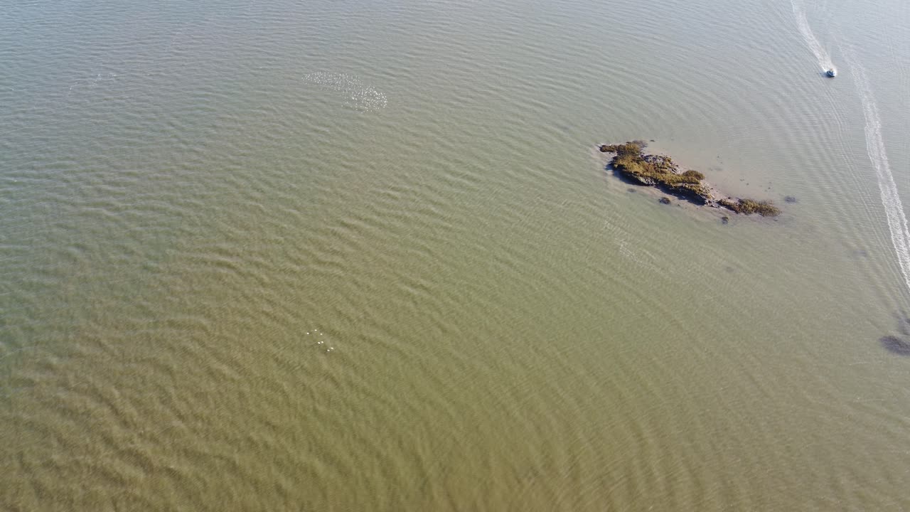 화창한 오후에 메드웨이 강 위로 모여드는 새들