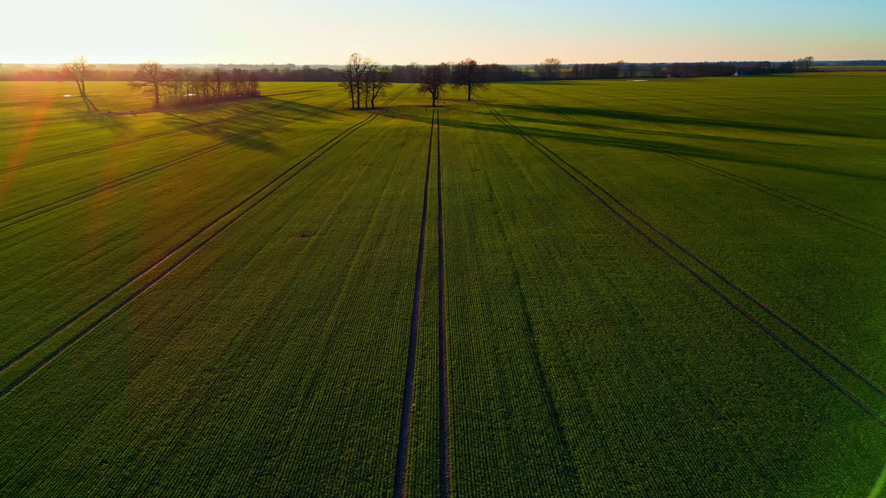 Sonnenaufgang am frühen Morgen über grünem Ackerland, Luftaufnahme mit Drohne.