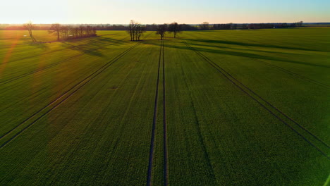 early morning sunrise over green farmland, aerial drone view