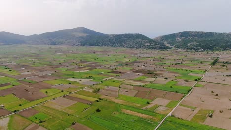 aerial dolly over agriculture farm fields in lastihi in crete