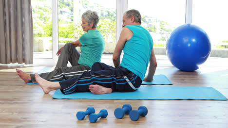 Senior-couple-doing-stretching