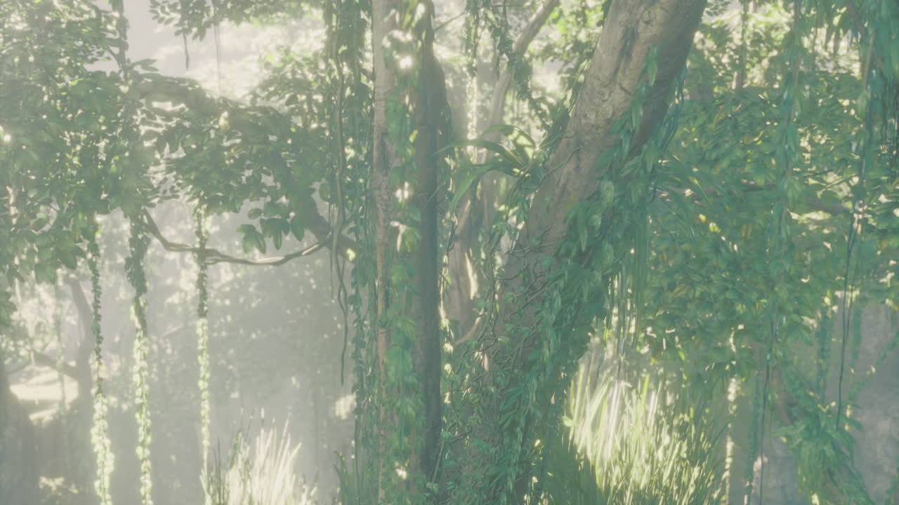 Lush green jungle with sunlight filtering through treetops during daytime