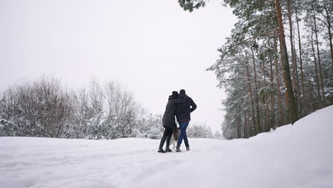 loving man and woman walking with siberian husky in winter forest smiling and looking at each other slow motion happy family. the view from the back