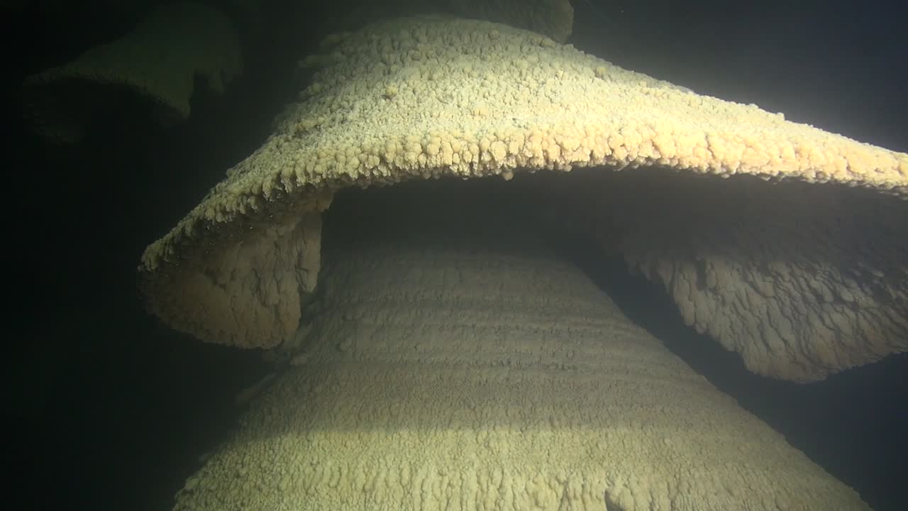 중첩된 독특한 종 동굴