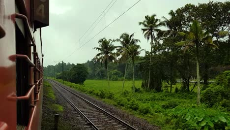 ferrocarriles indios que recorren las exuberantes tierras verdes de kerala, el propio país de dios