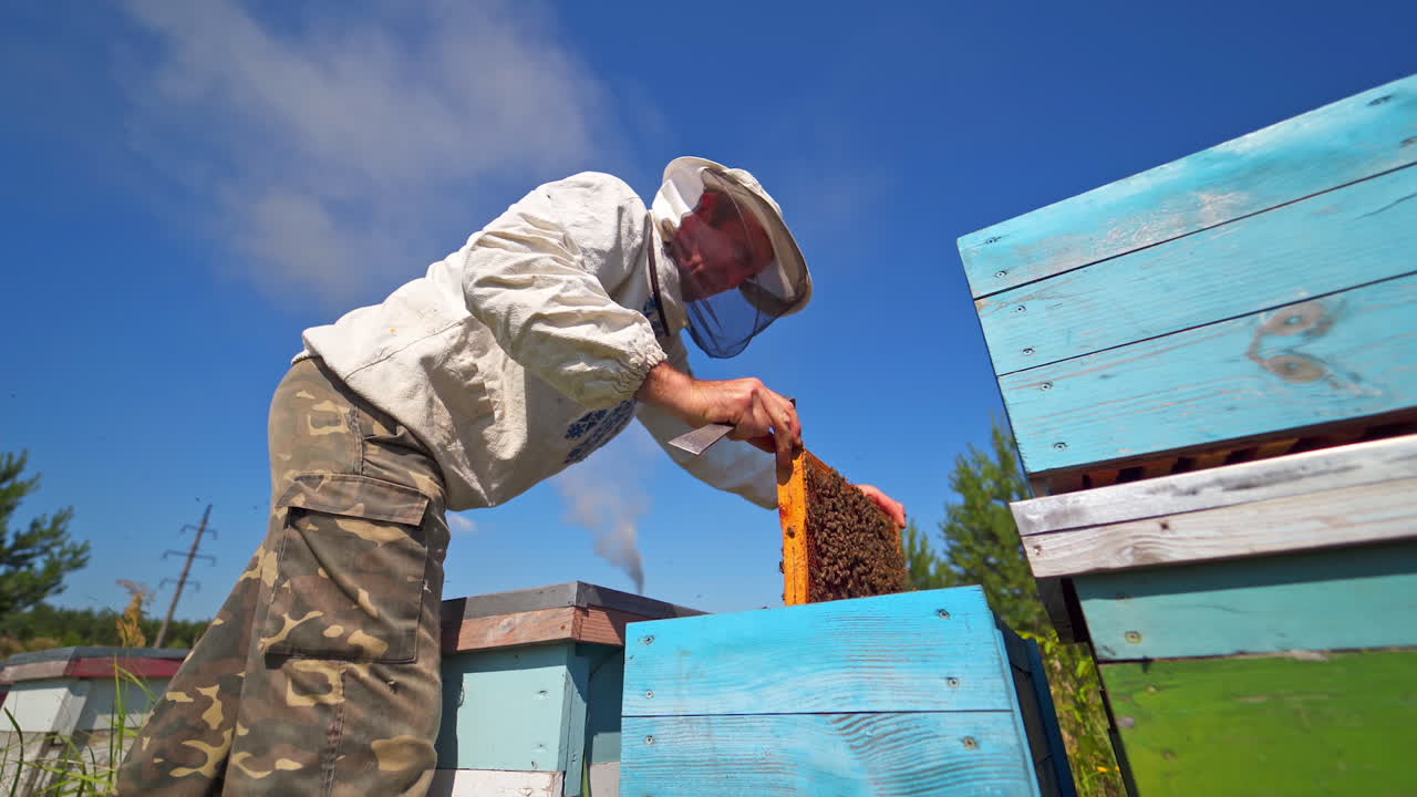 Beekeeper against blue sky. Apiculturist in protective hat examining bees in summer. Farmer looks at the frame full with bees on the apiary. View from below.