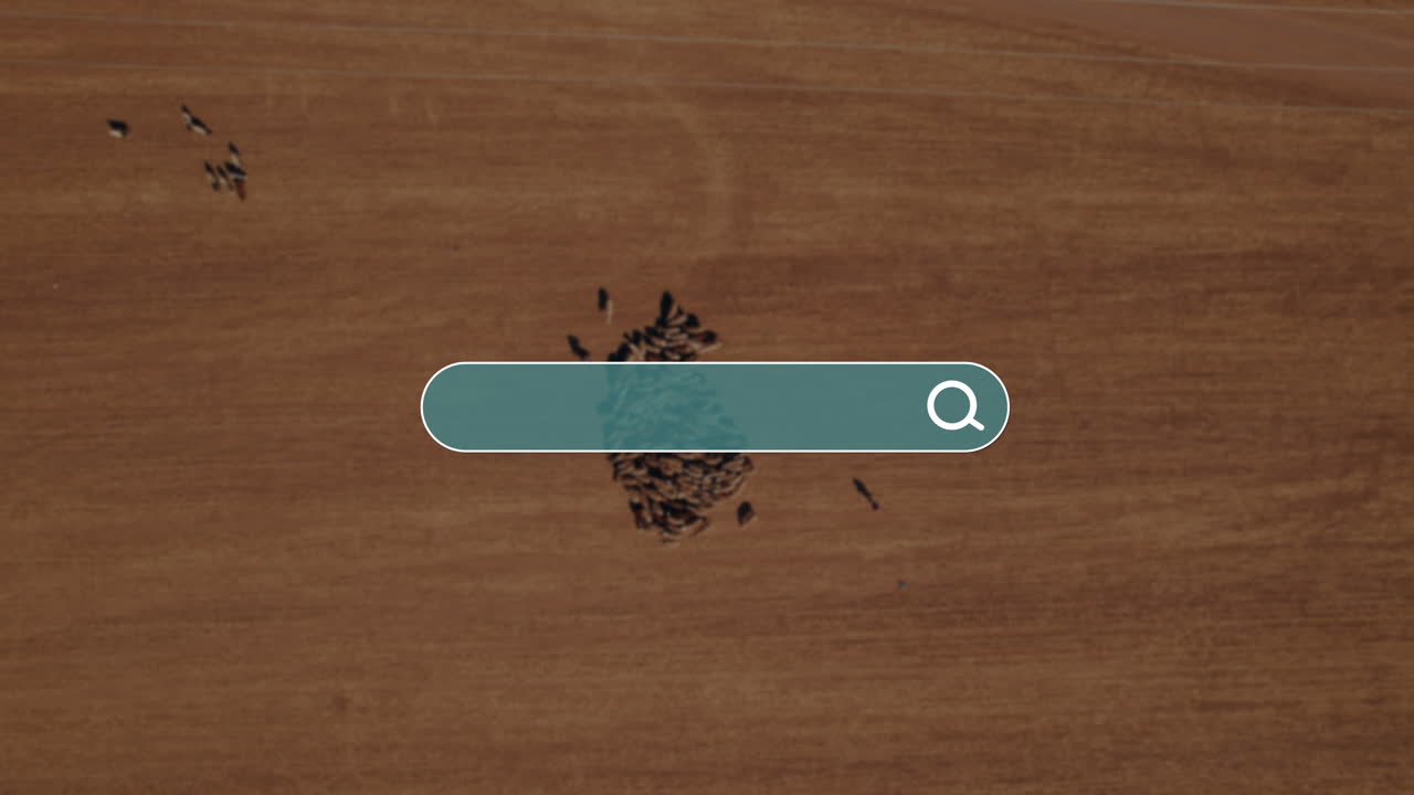 Search bar emerges after a plane moves across a clean backdrop over a shepherd with sheep in a remote desert area of below - for you to enter your dream spot