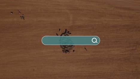 Search bar emerges after a plane moves across a clean backdrop over a shepherd with sheep in a remote desert area of below - for you to enter your dream spot