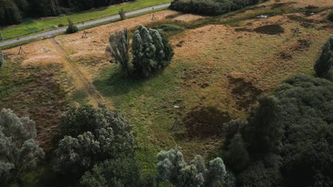 aerial view of rural landscape with road and wetlands
