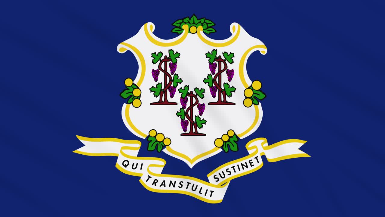Bandiera del Connecticut che sventola al vento, loop per sfondo