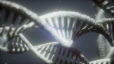 Struktur-Der-DNA-Doppelhelix-Animation