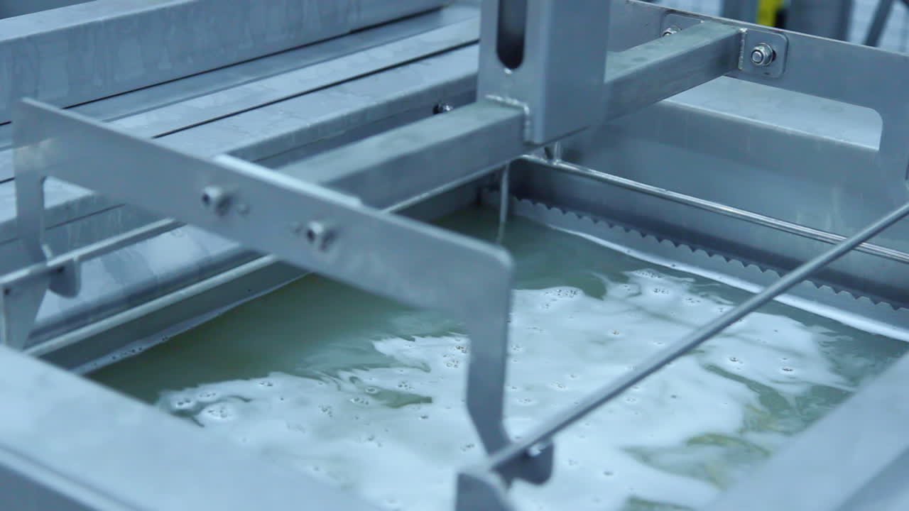 el recipiente con billetes se sumerge en un tanque con líquido. tratamiento químico