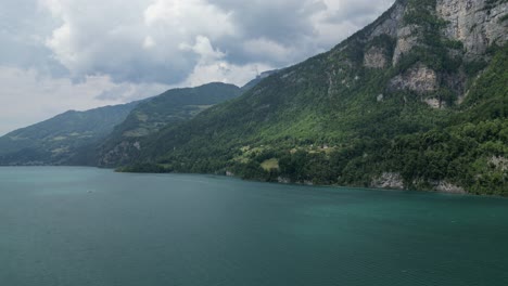 Dosel-De-Vegetación-Verde-Se-Extiende-Montañas-Rocosas-En-Las-Orillas-Del-Lago-Walensee