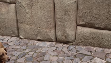 rock shapes on incan walls in cusco, peru 4k 50fps